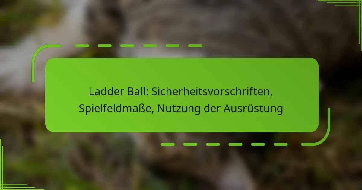 Ladder Ball: Sicherheitsvorschriften, Spielfeldmaße, Nutzung der Ausrüstung