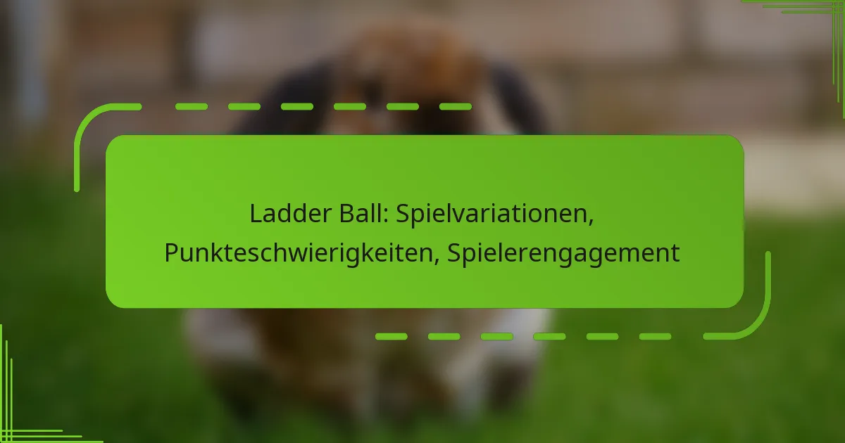 Ladder Ball: Spielvariationen, Punkteschwierigkeiten, Spielerengagement