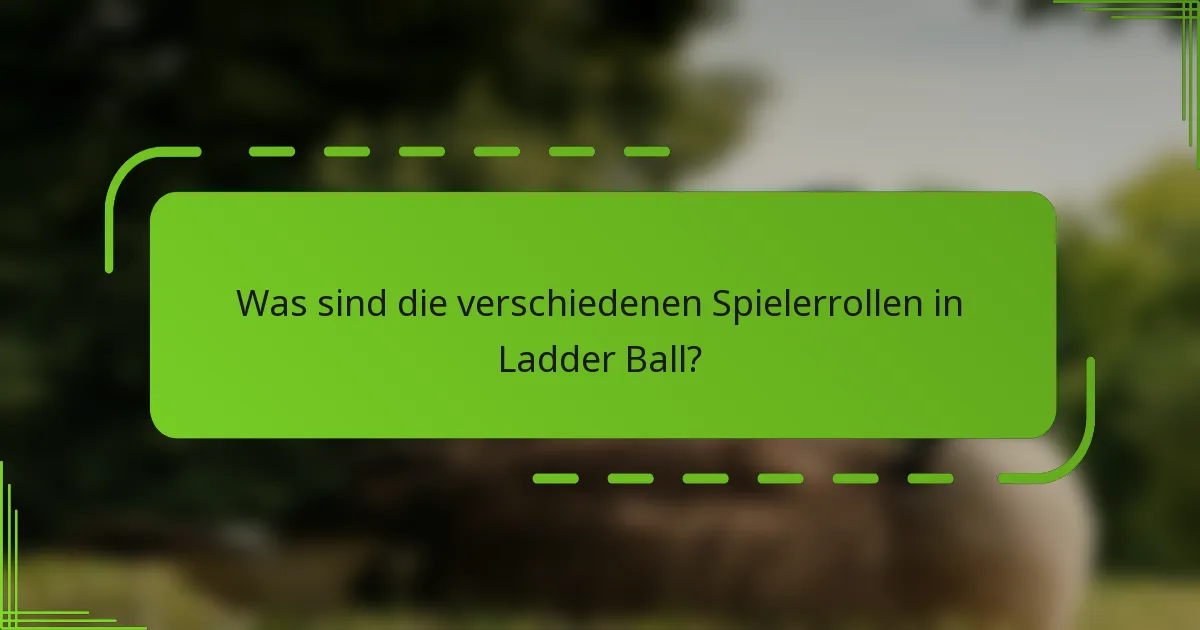 Was sind die verschiedenen Spielerrollen in Ladder Ball?