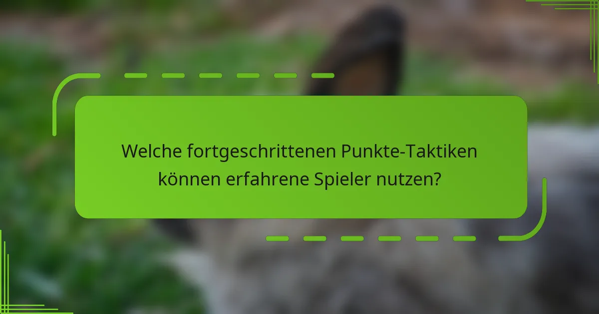 Welche fortgeschrittenen Punkte-Taktiken können erfahrene Spieler nutzen?