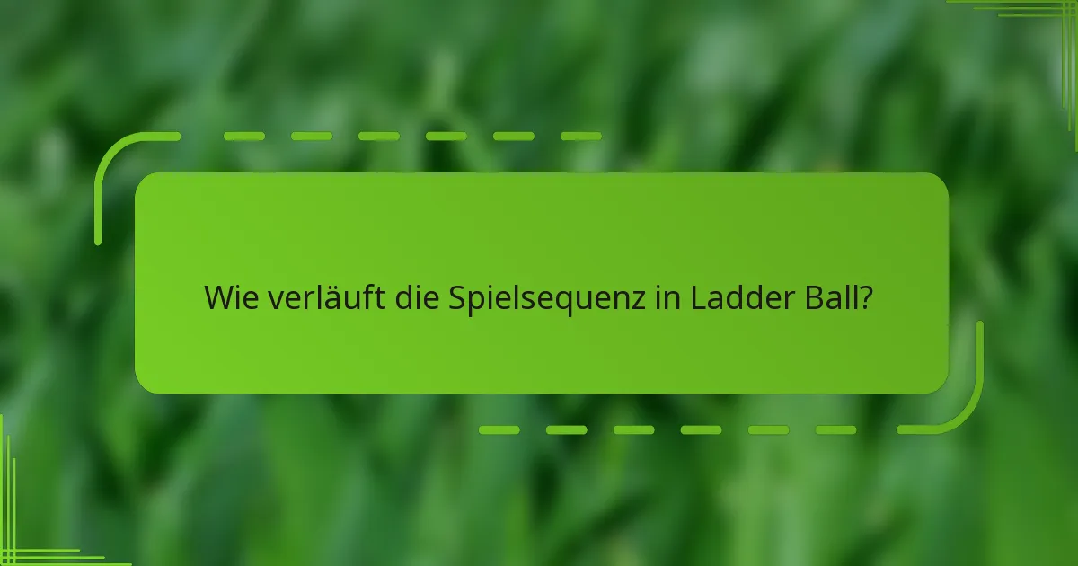Wie verläuft die Spielsequenz in Ladder Ball?